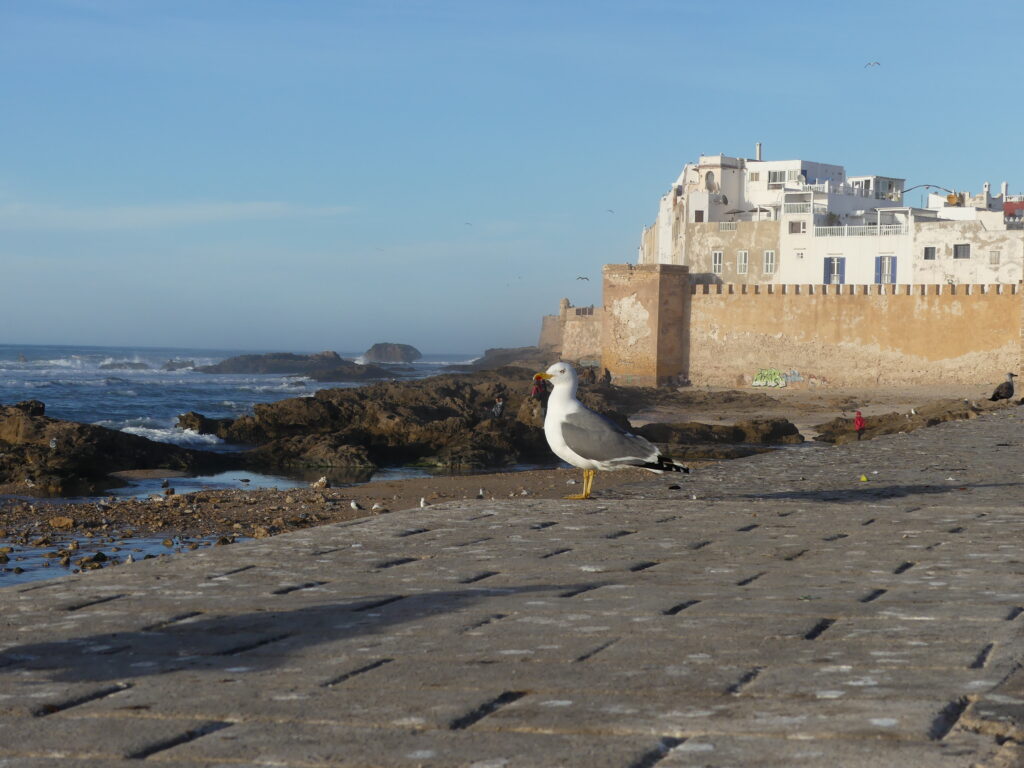 The Captivating History of Essaouira